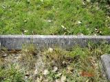 image of grave number 660313